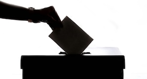 vote_mini
