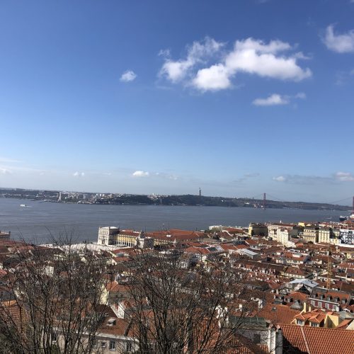Vue depuis le Chateau Saint Georges
